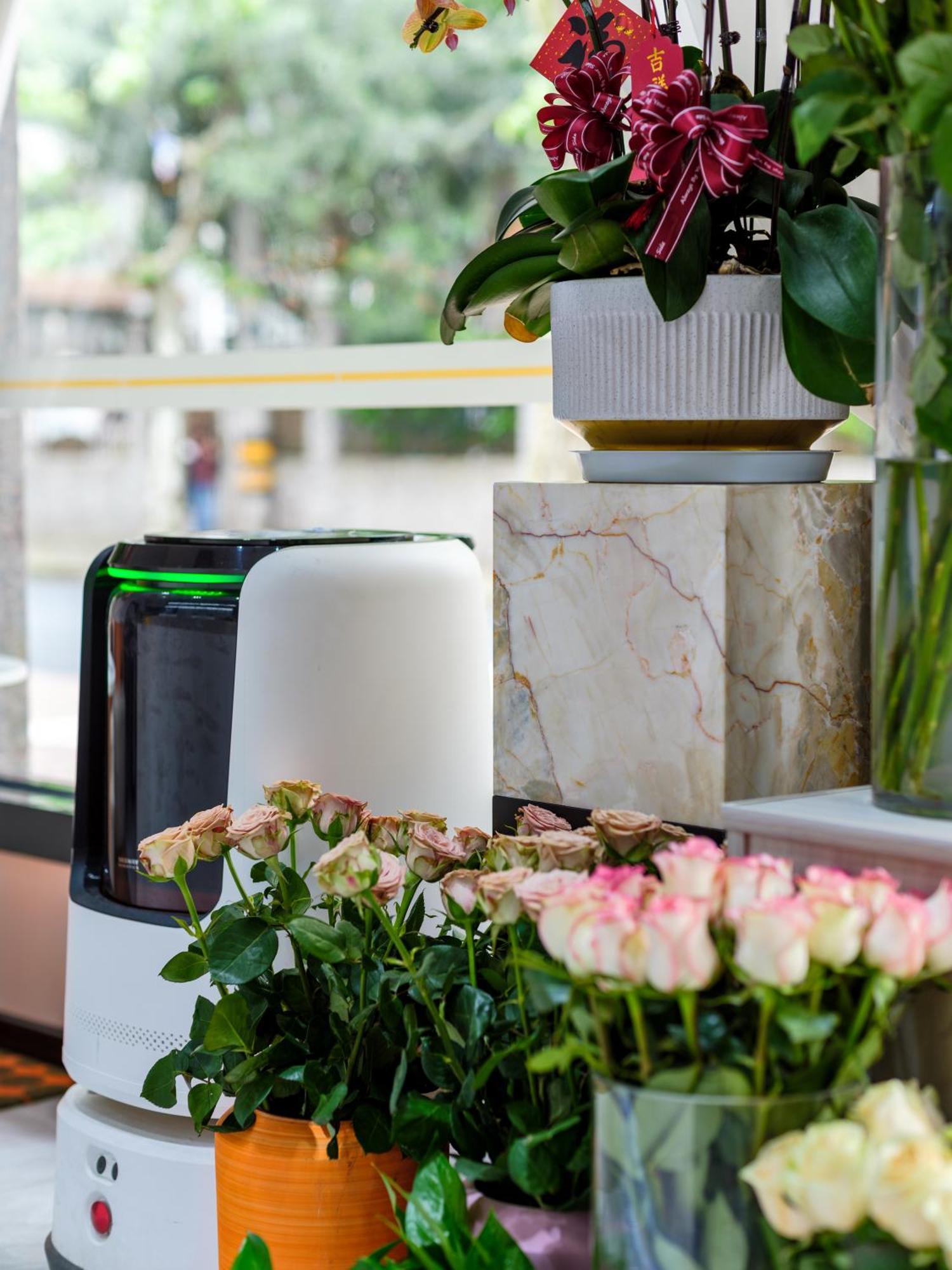 Hotel Orient Rose International